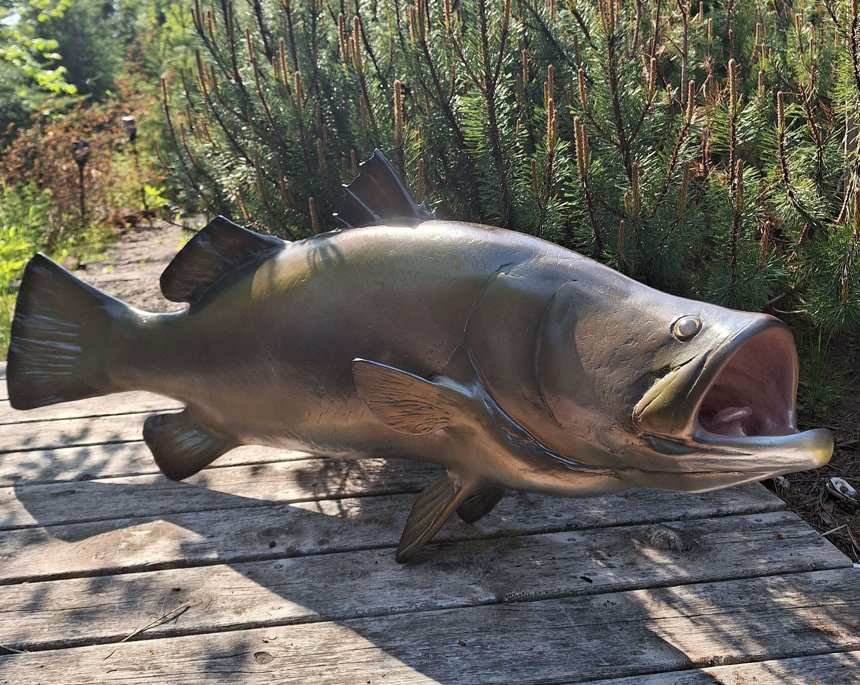 sea bass trophy wall hanging for sale