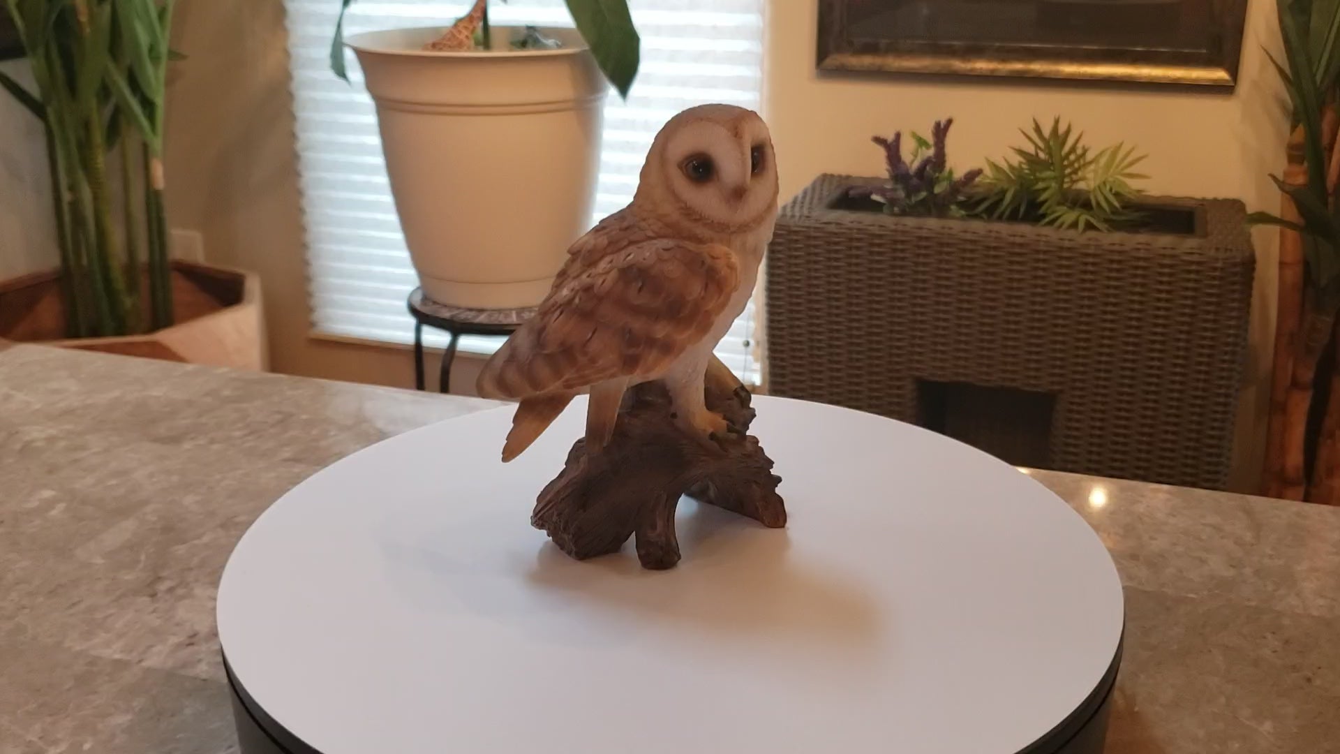 Auction for sale barn owl statue