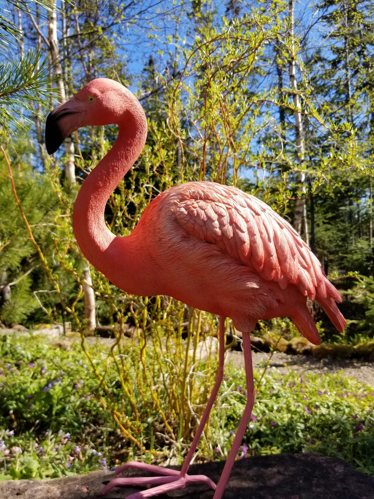 pink flamingo bird statue