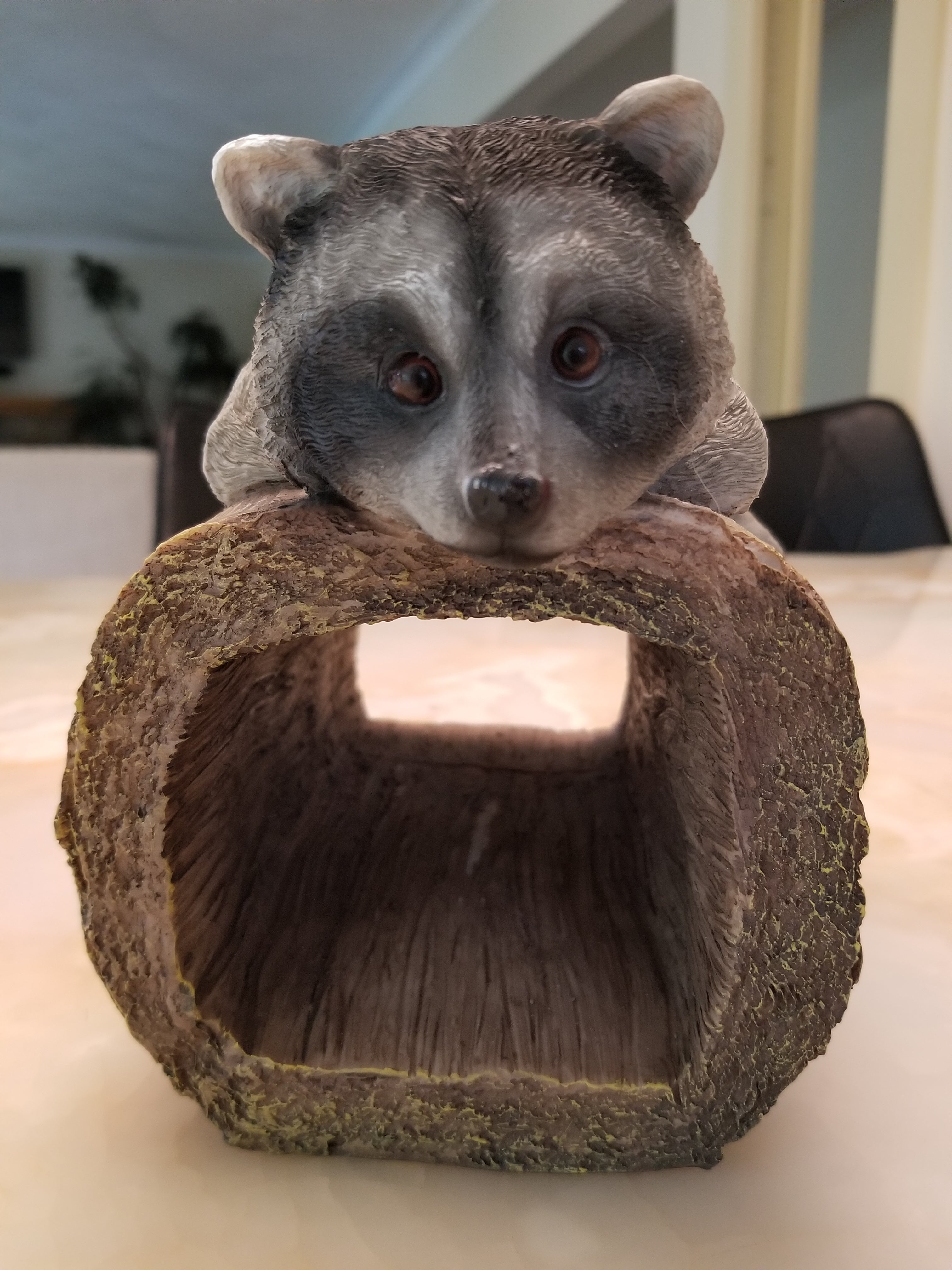 raccoon downspout statue front pose