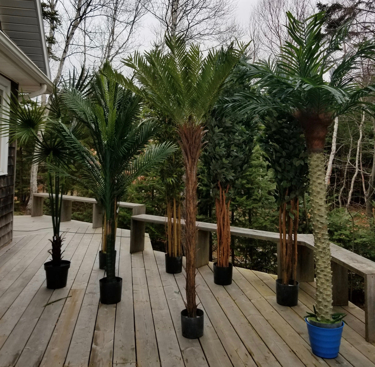 Maritime Tropical artificial trees for sale