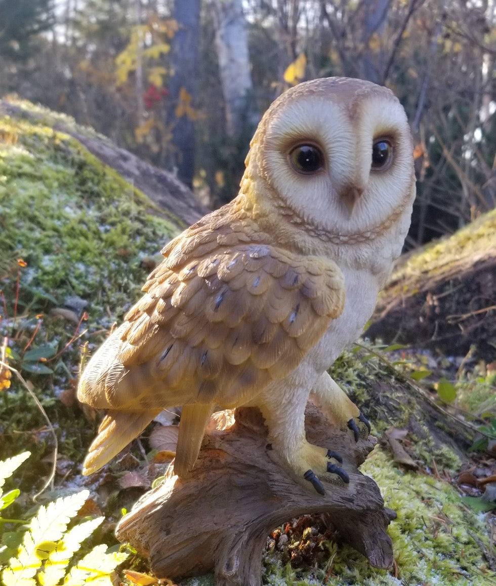 buy a barn owl ornament at auction