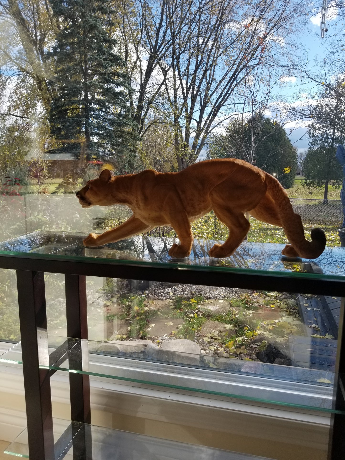 prowling cougar statue