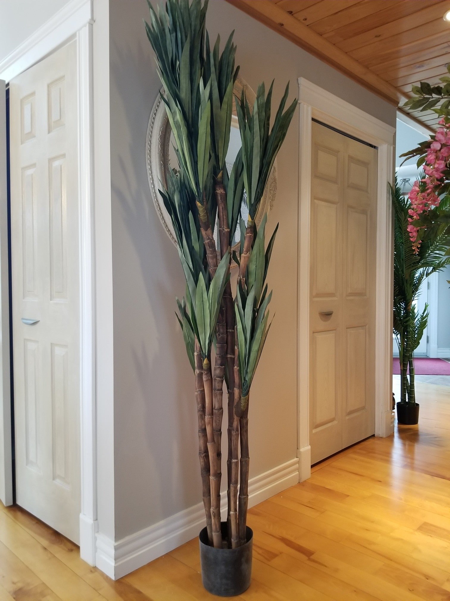 artificial dracaena tree for sale