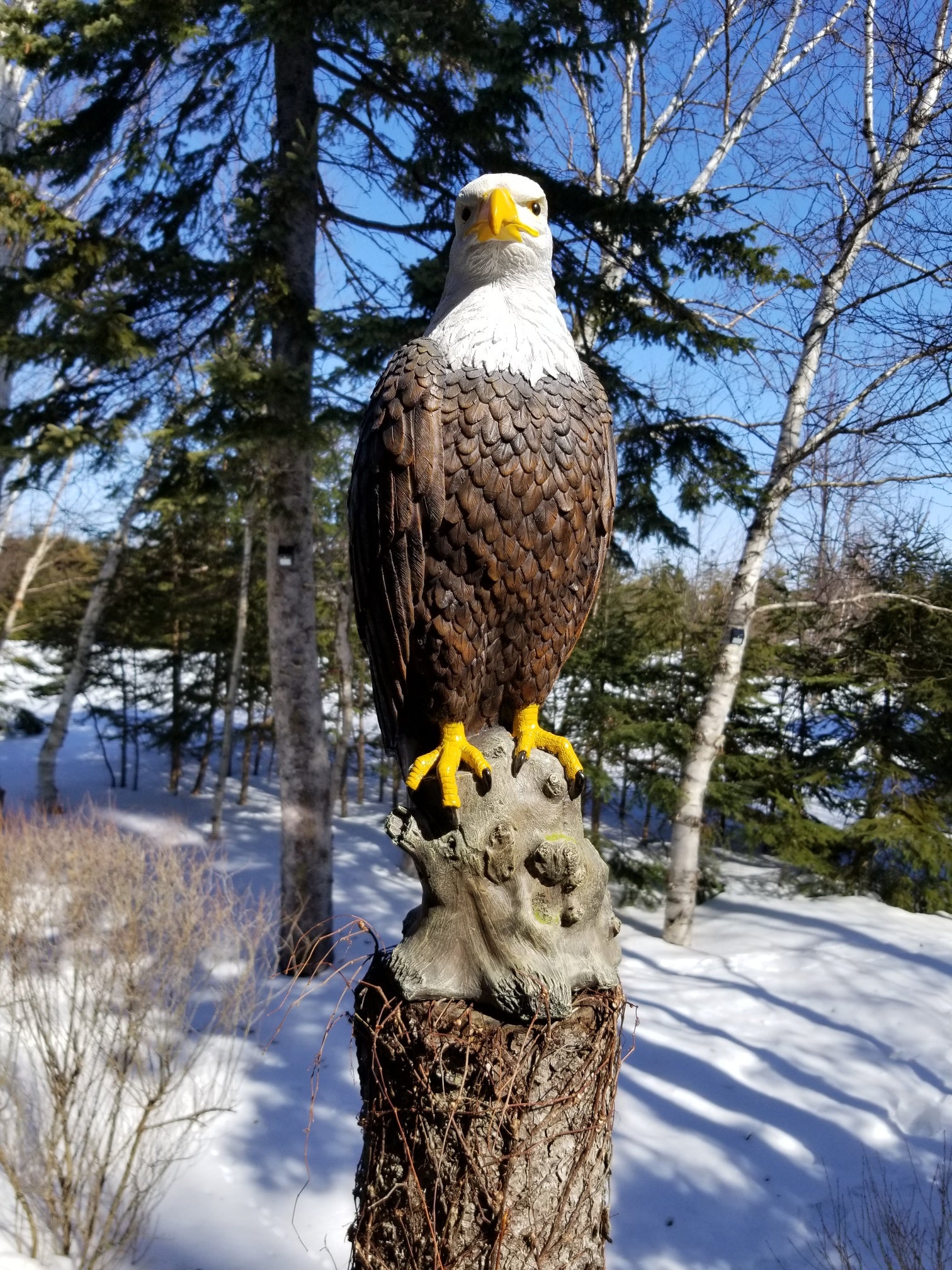 buy a bald eagle statue at auction