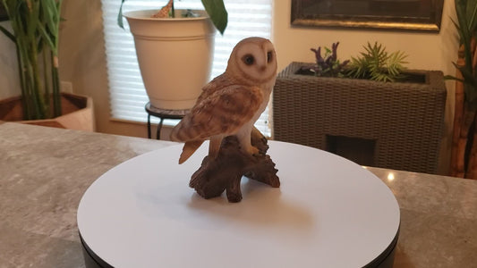 Auction for sale barn owl statue