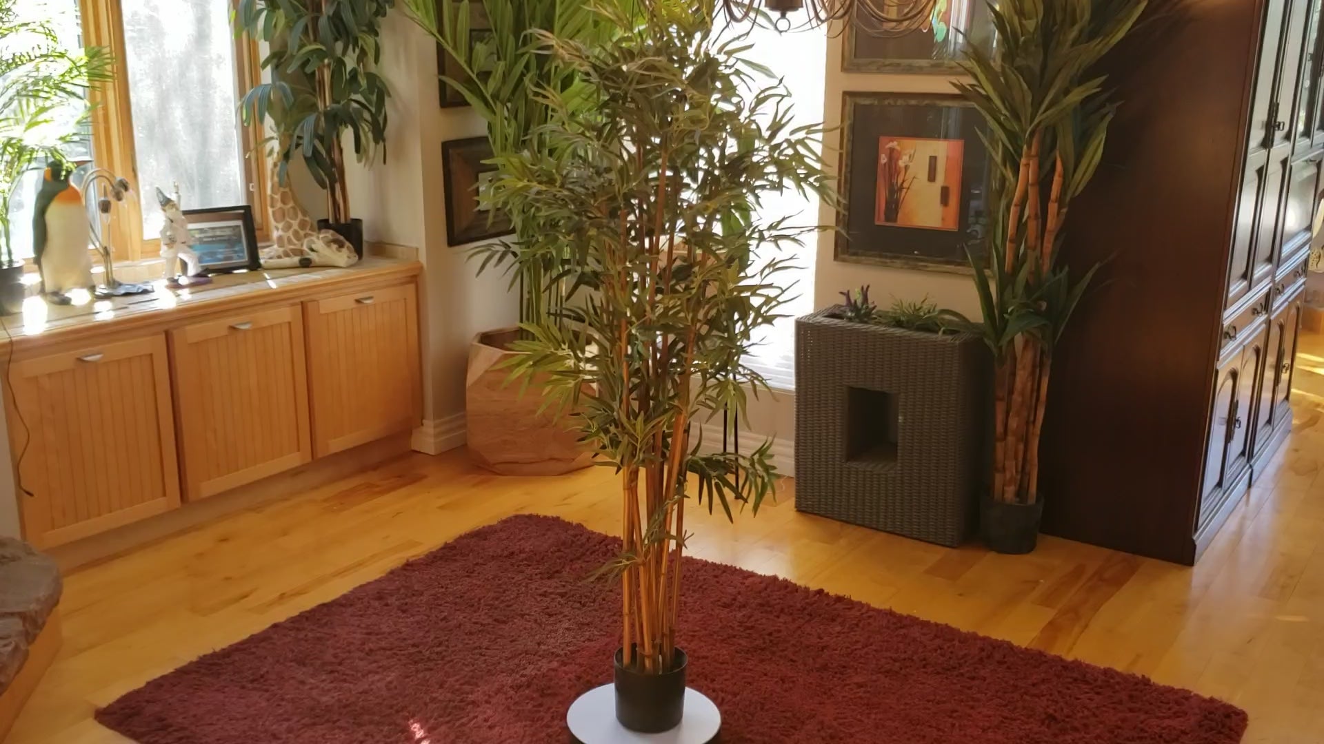 Auction for sale bamboo tree
