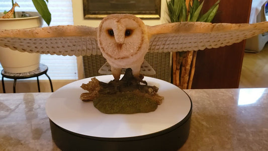 Auction for sale soaring owl statue