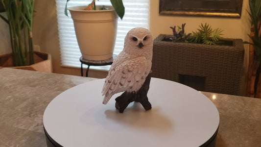 Auction for sale snowy owl statue