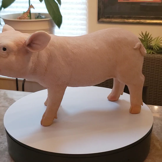 Auction for sale pig statue