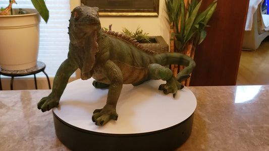 Auction for sale iguana statue