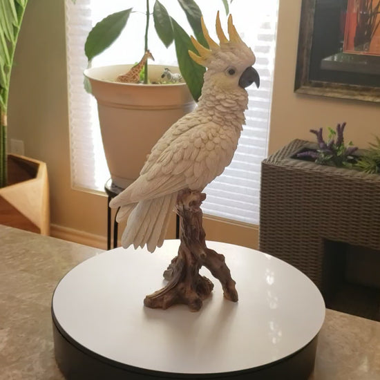 Auction for sale cockatoo bird statue