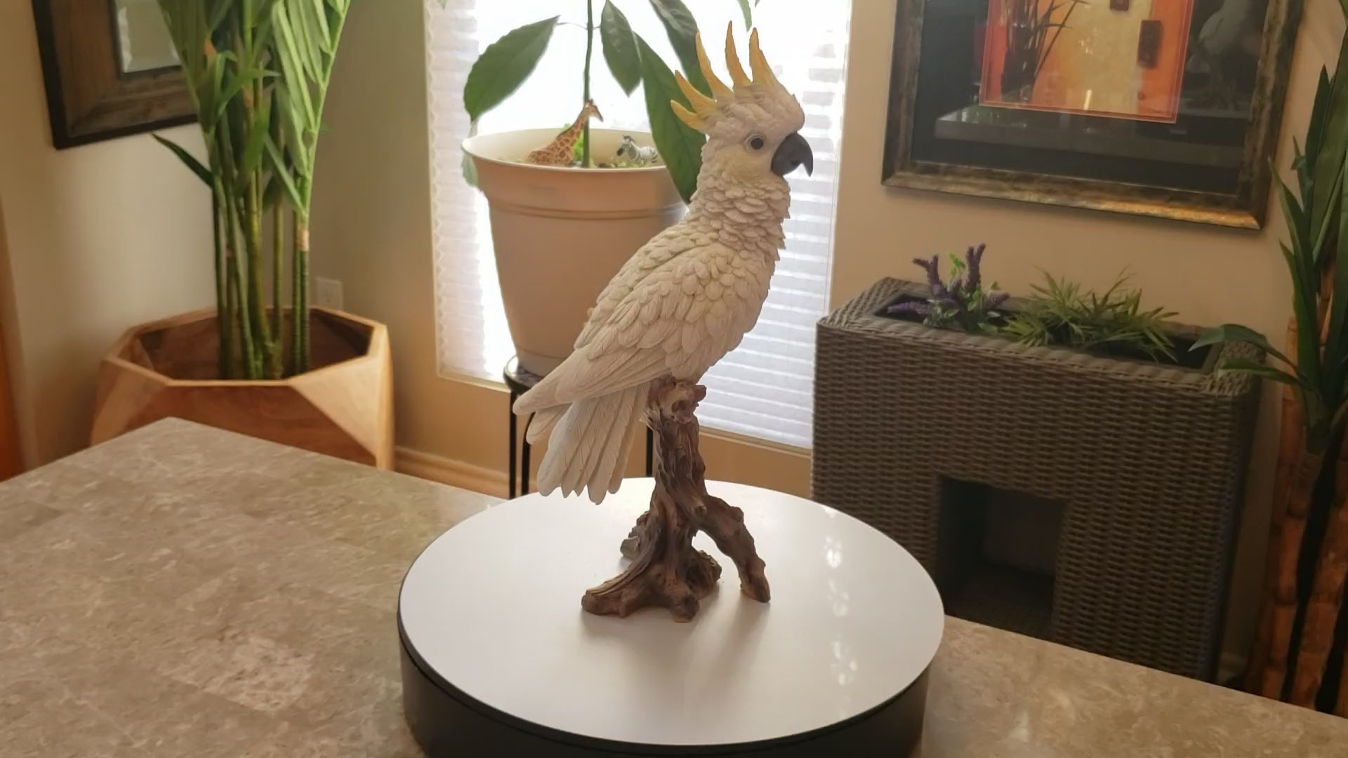 Auction for sale cockatoo bird statue