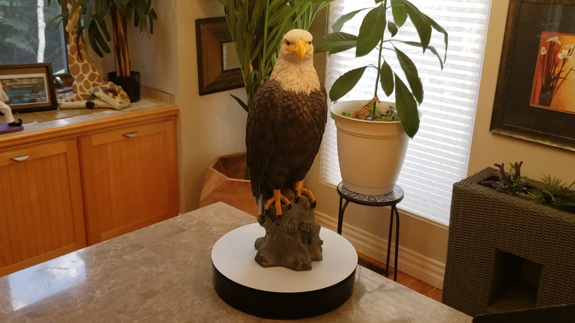 Auction for sale bald eagle statue