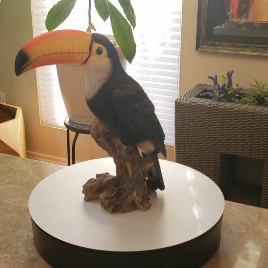 Auction for sale toucan bird statue