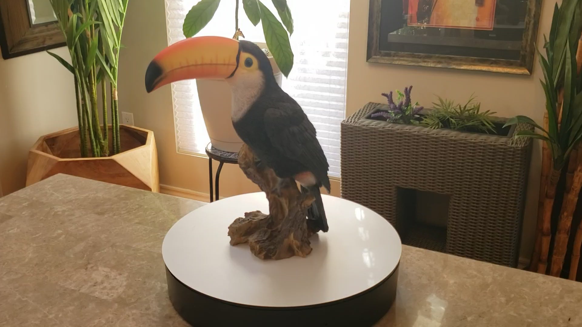 Auction for sale toucan bird statue