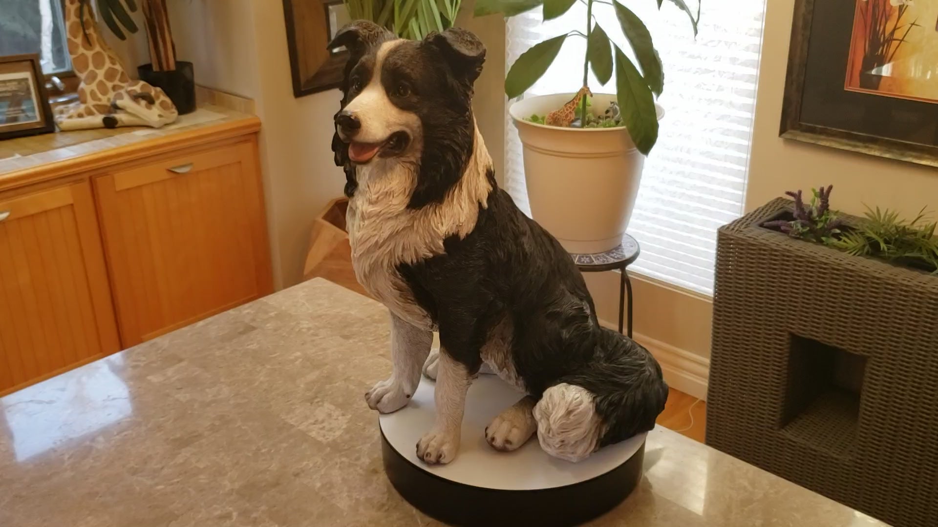 Auction for sale border collie dog statue