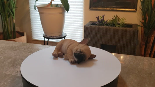 Auction for sale french bulldog statue