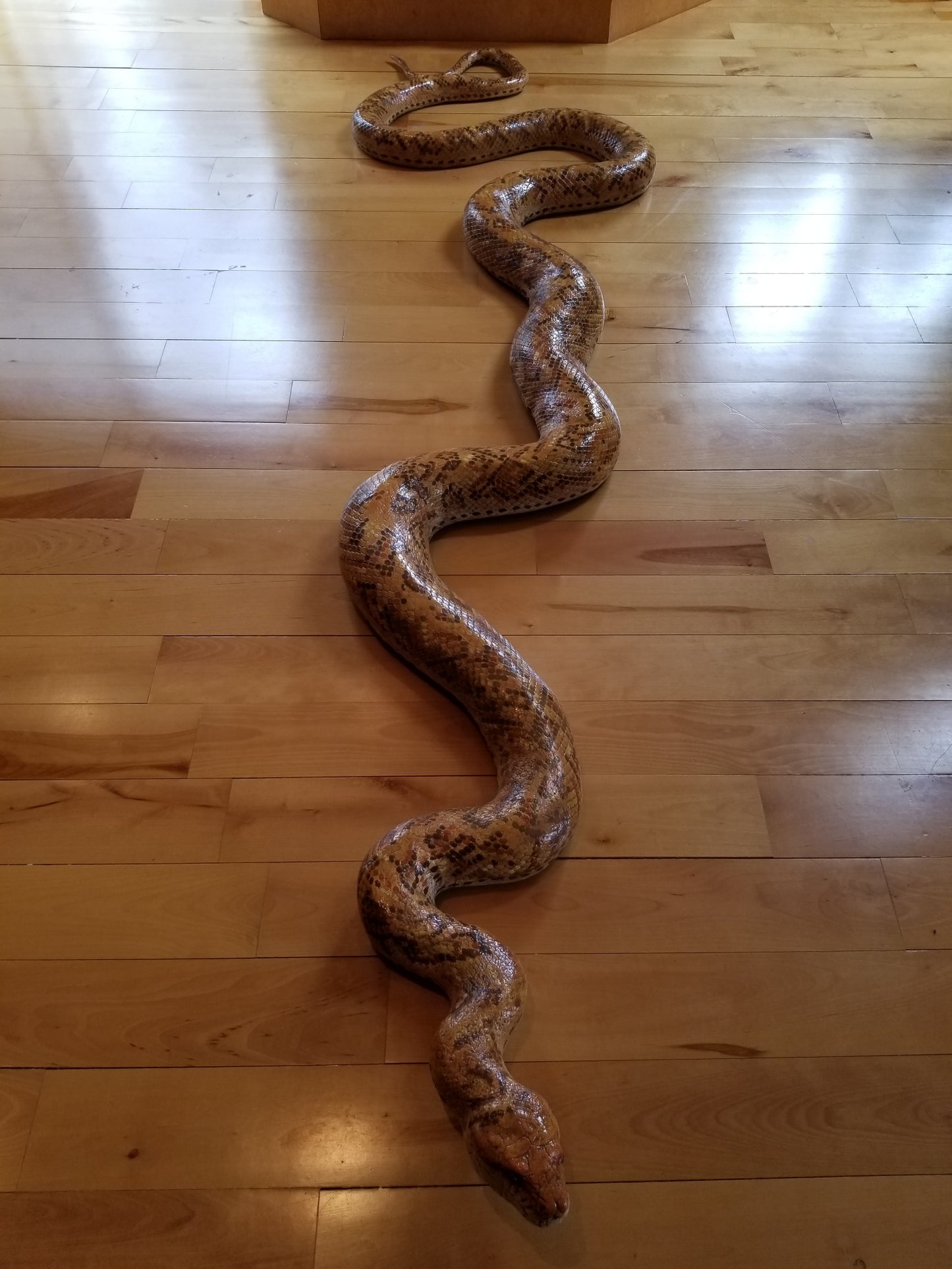 buy a python snake statue at auction