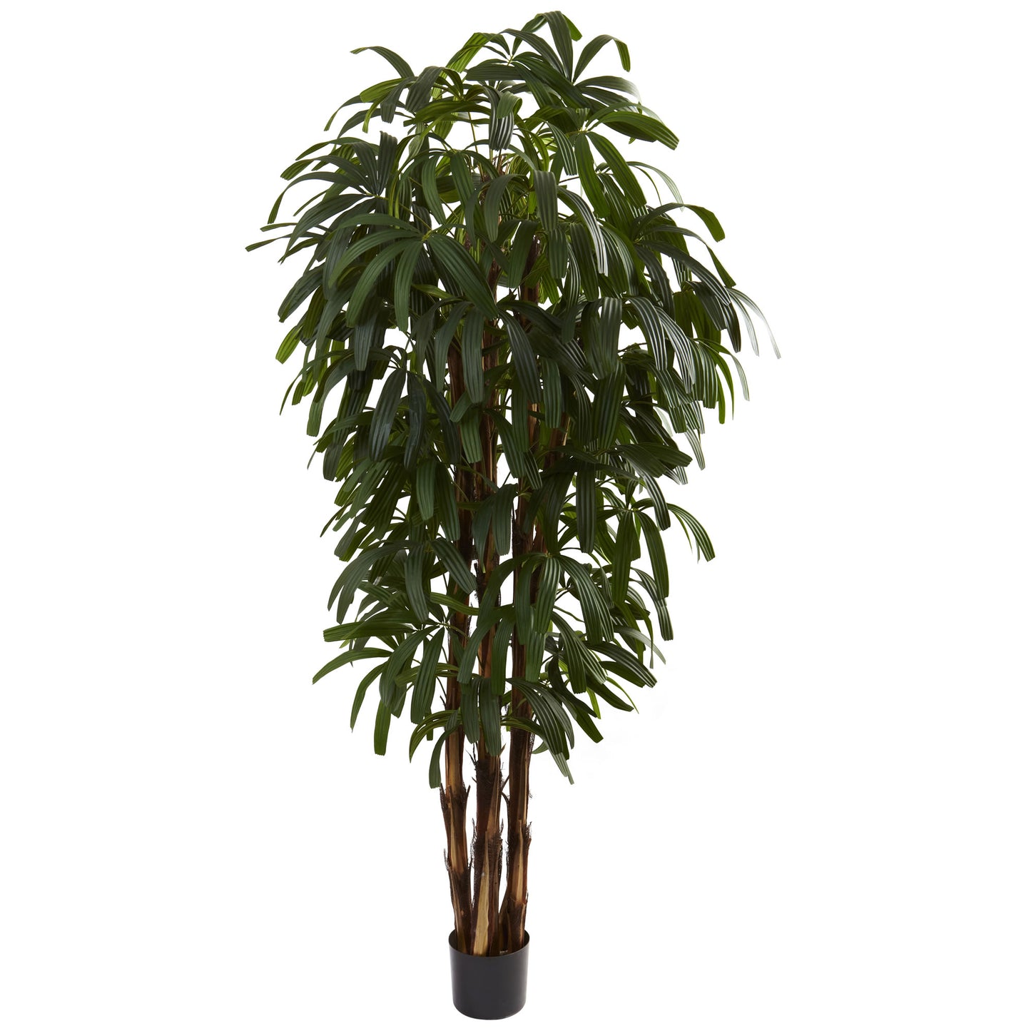 6 foot raphis silk palm tree