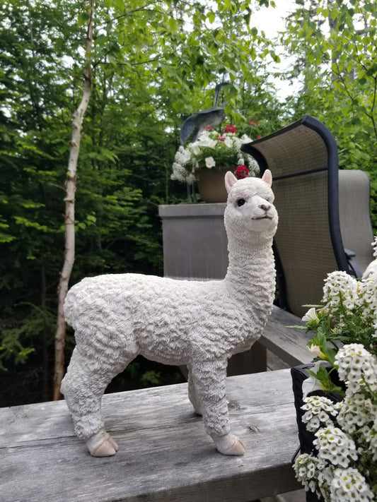baby alpaca statue for sale