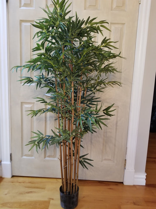 5 foot fancy style bamboo silk tree