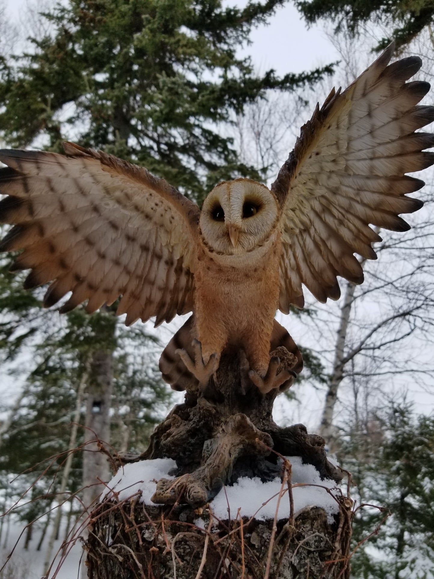 flapping barn owl statue for sale