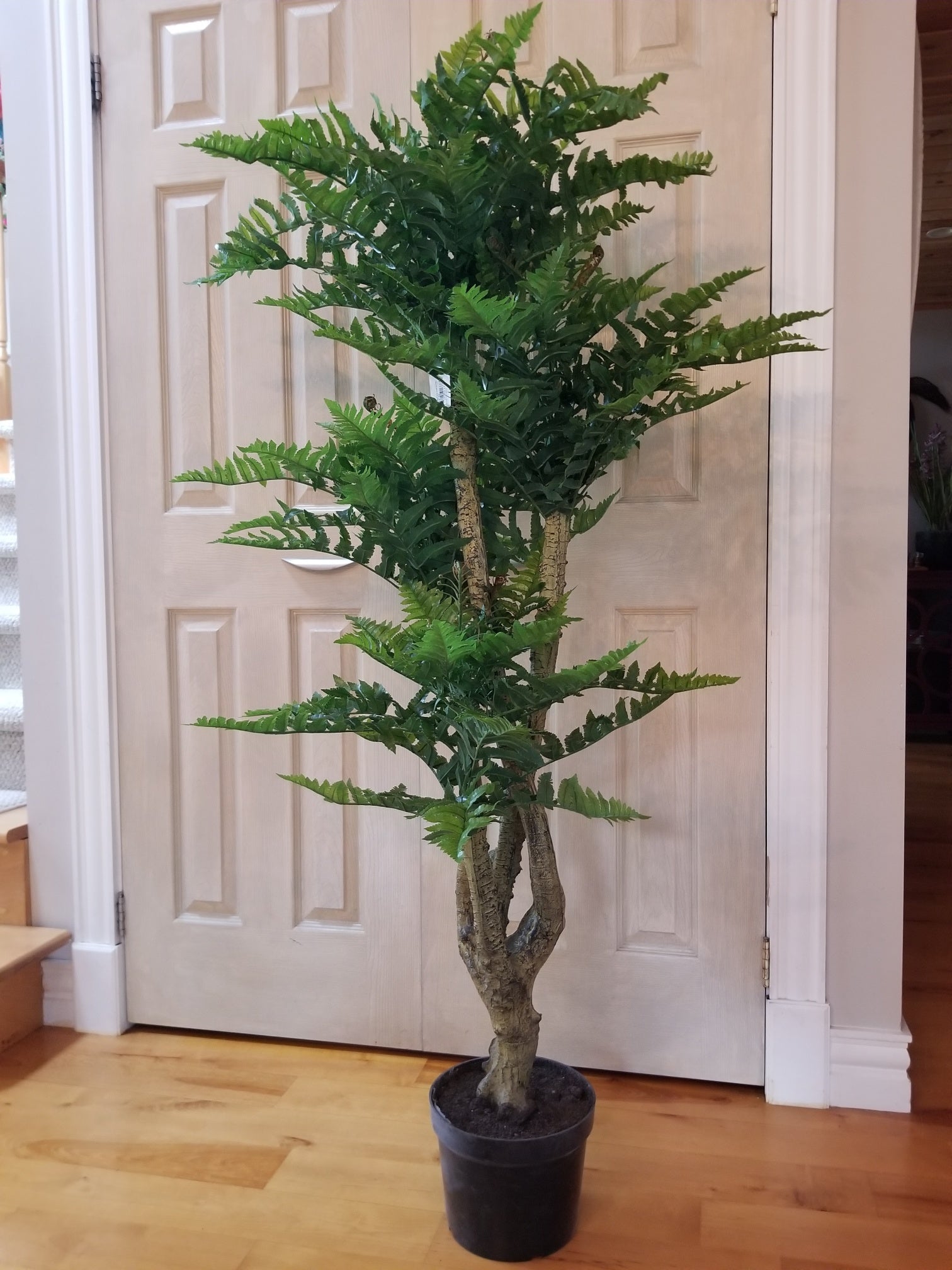 boston fern artificial tree for sale