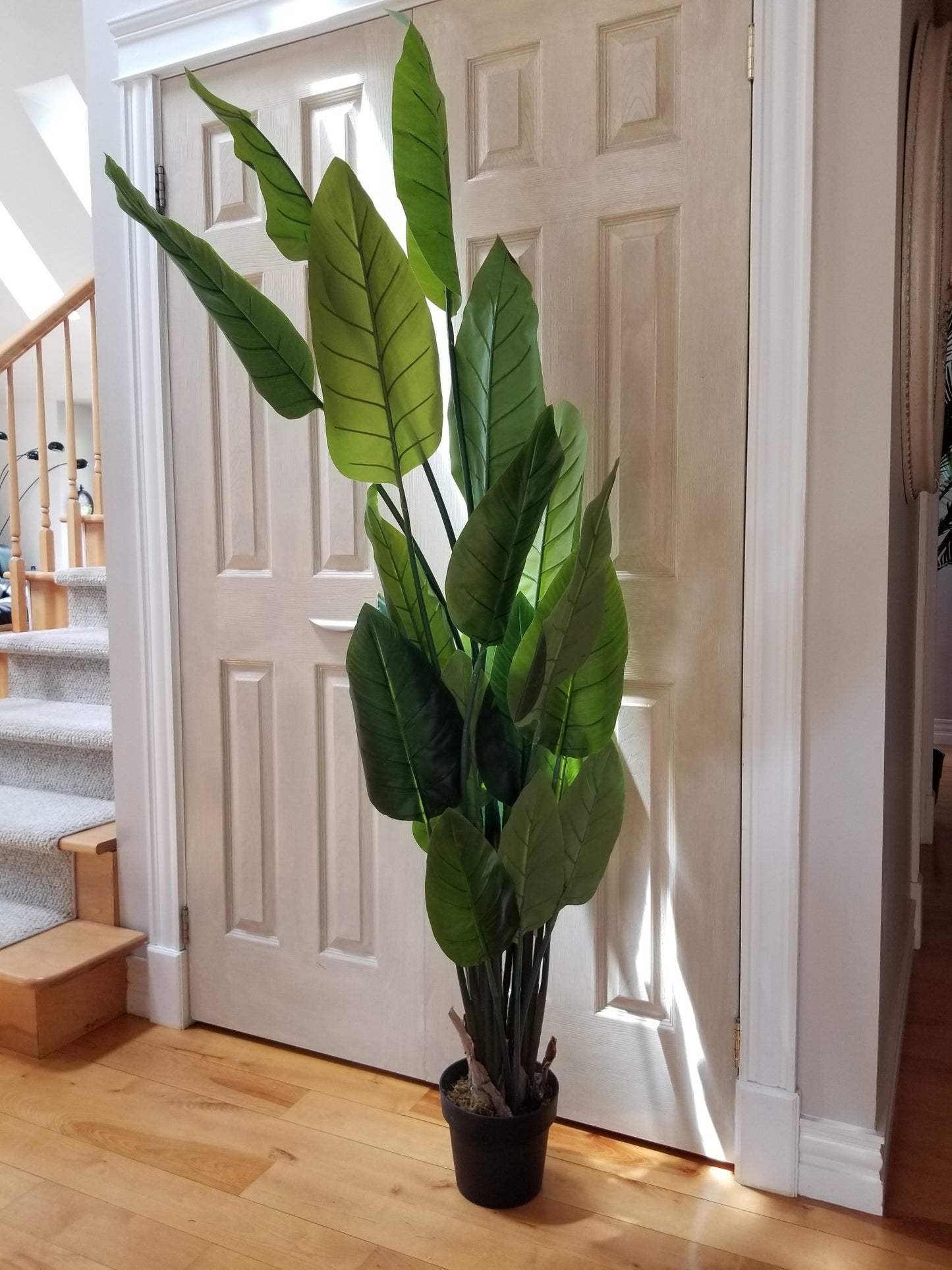 canna artificial tree for sale