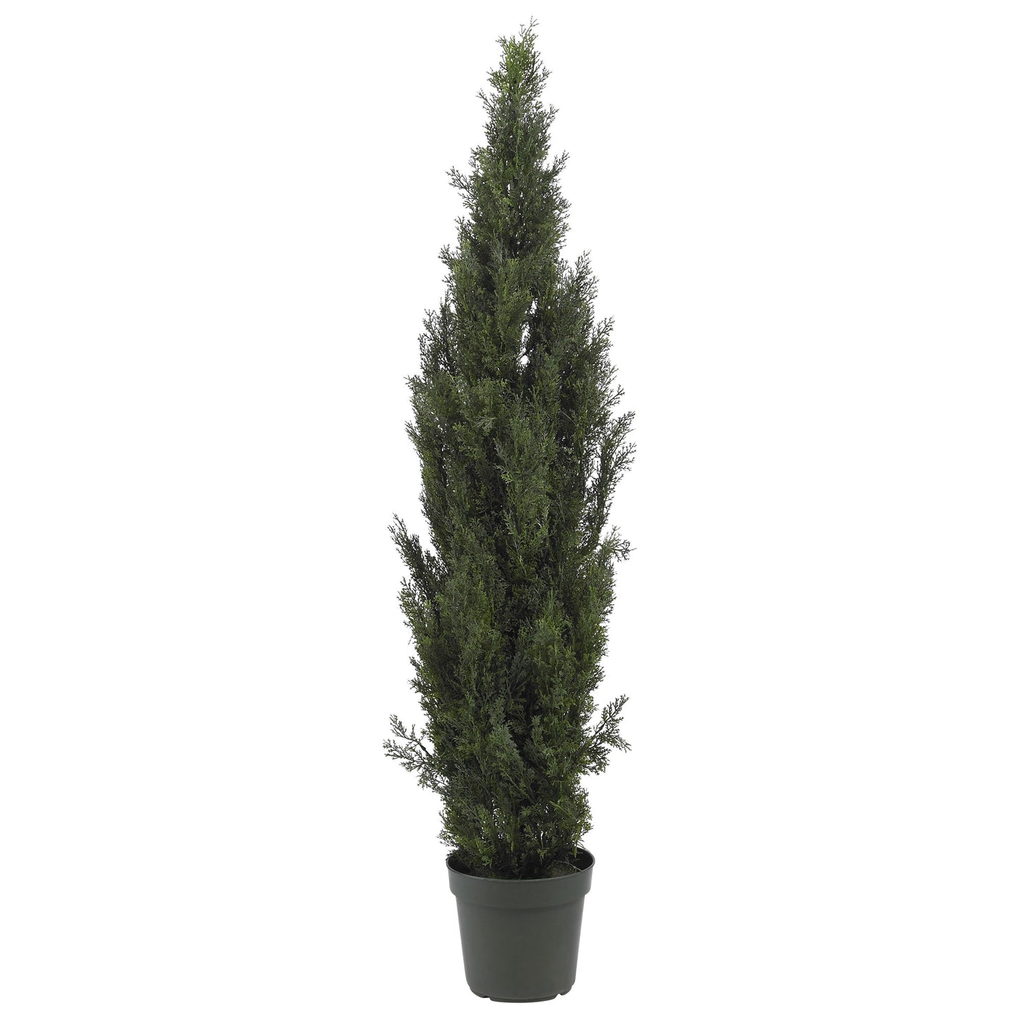 6 foot cedar pine silk tree