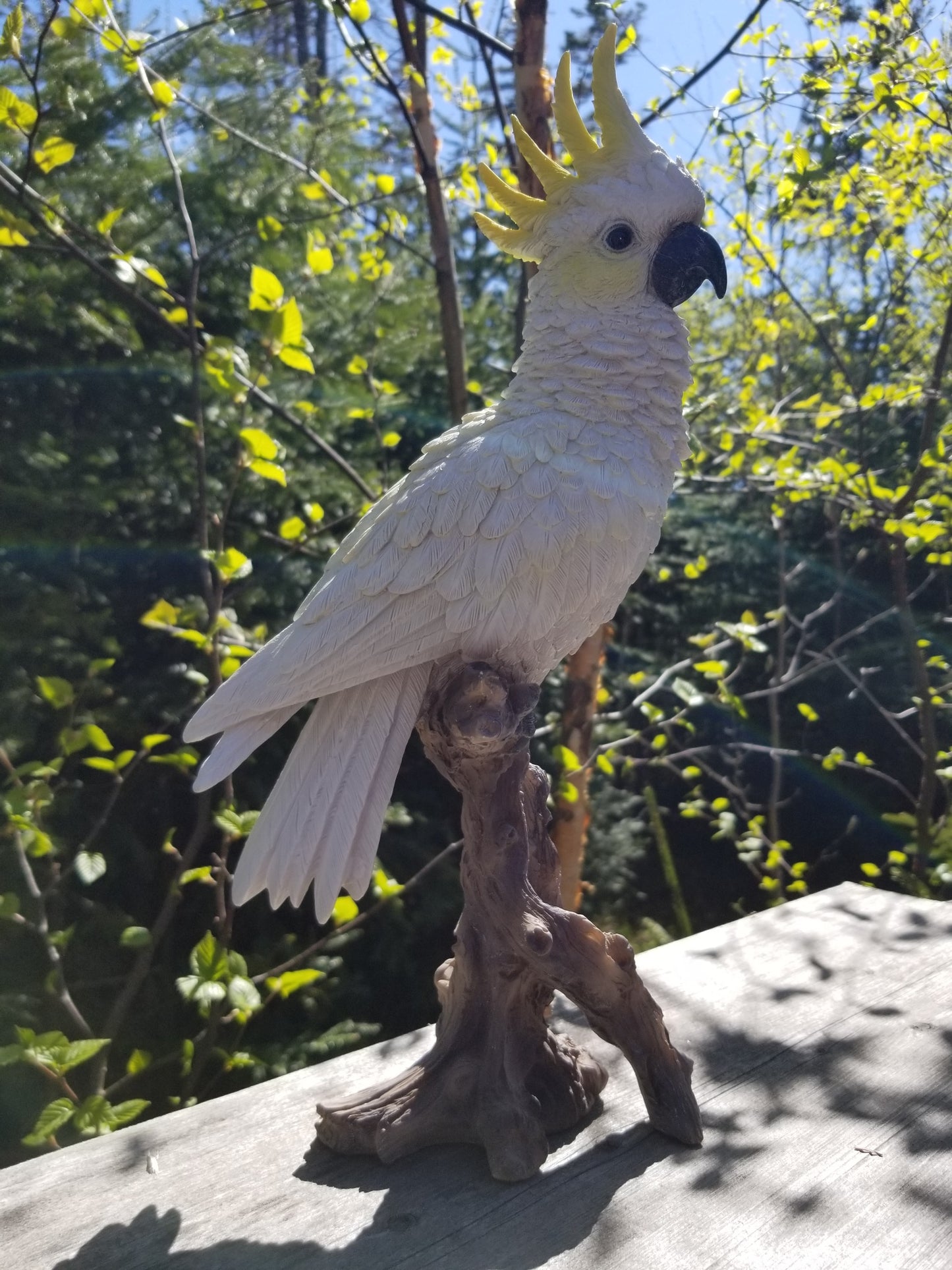 cockatoo on a branch statue