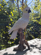 cockatoo statue for sale