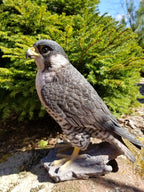 falcon statue for sale