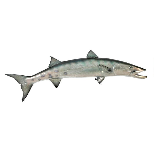 barracuda trophy wall hanging for sale
