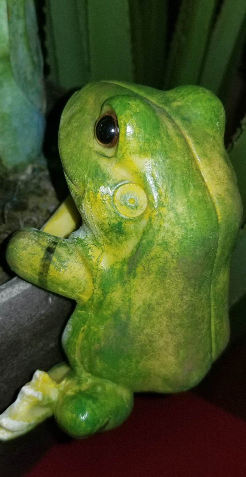 frog pot hanger for sale