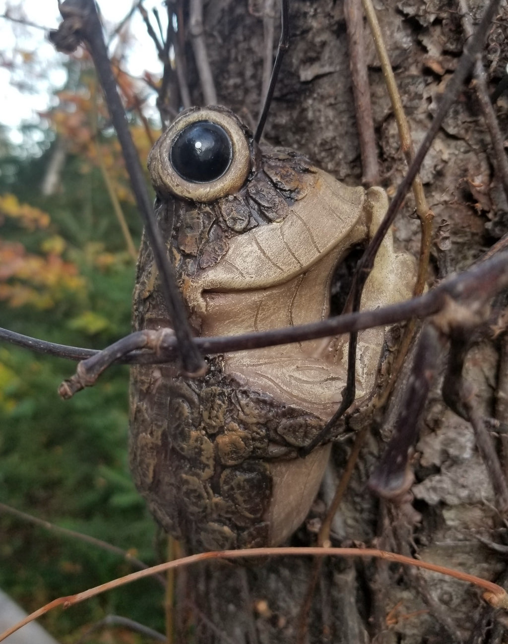 quiet frog ornament for sale