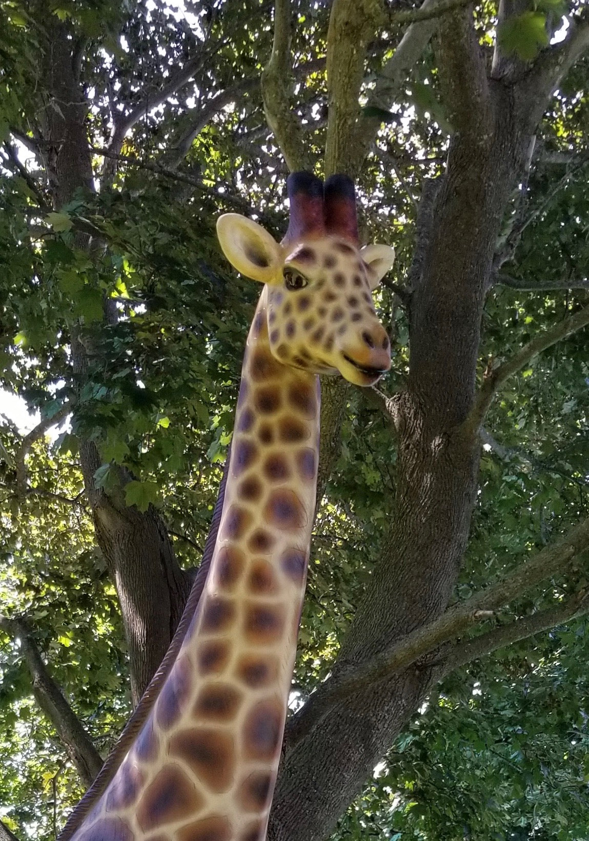 giraffe statue in facial pose