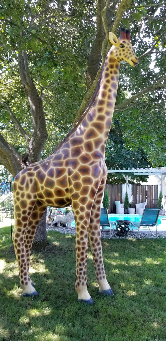 lifesize giraffe statue in full view