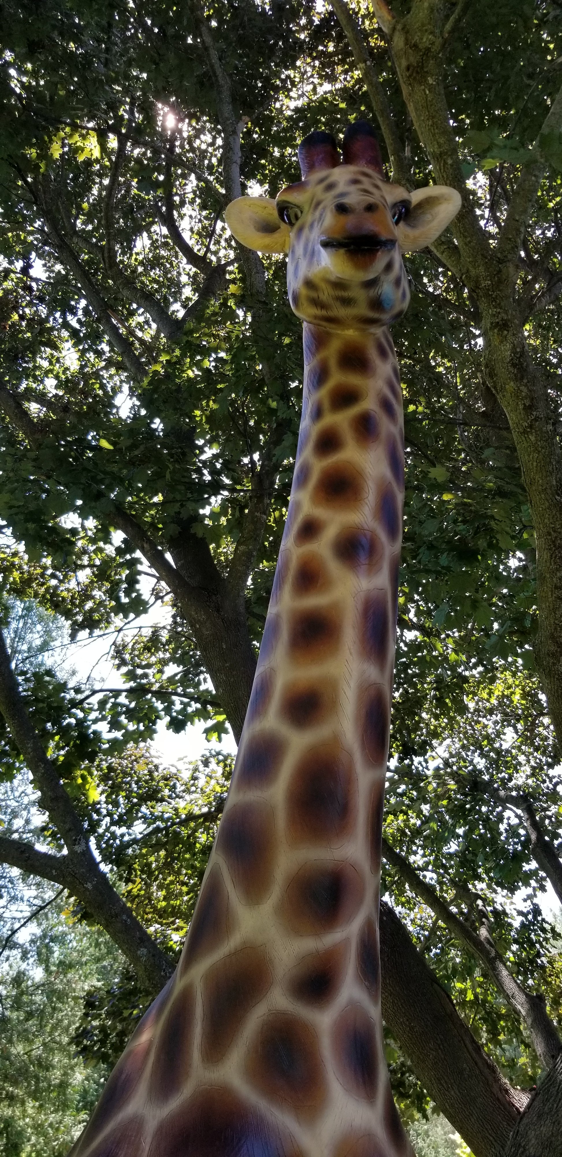 giraffe statue photo from below