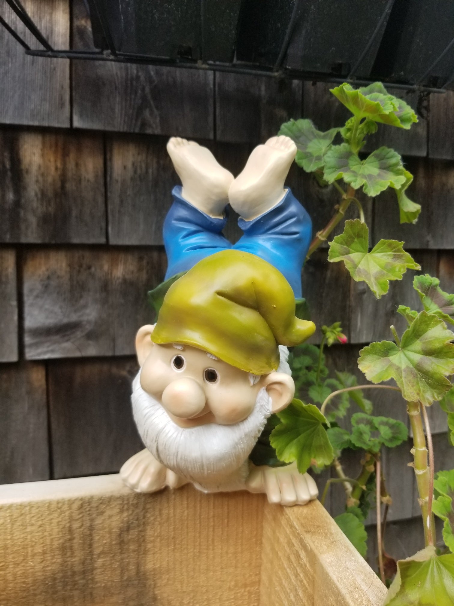 handstanding gnome statue for sale