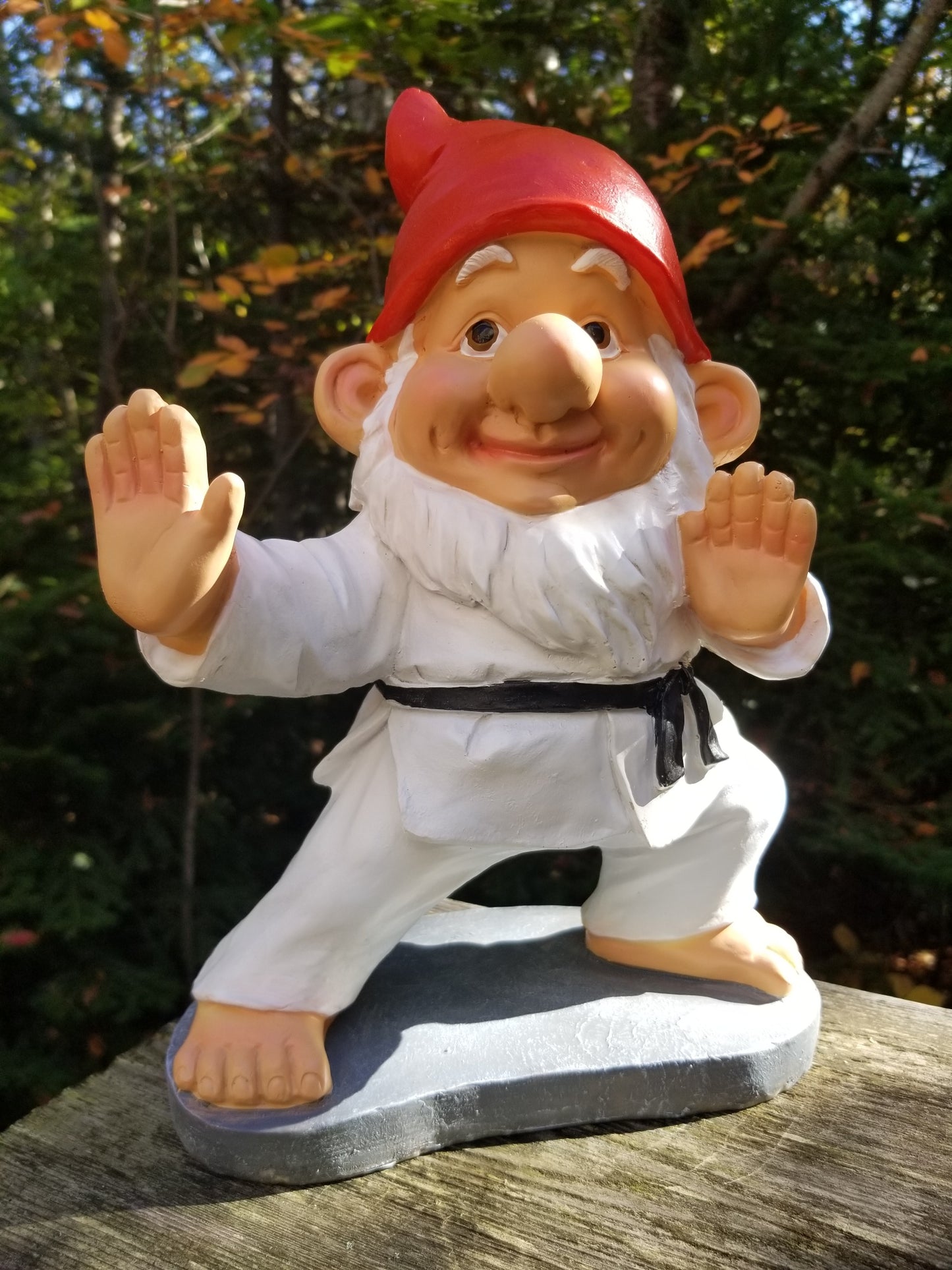 karate gnome statue for sale
