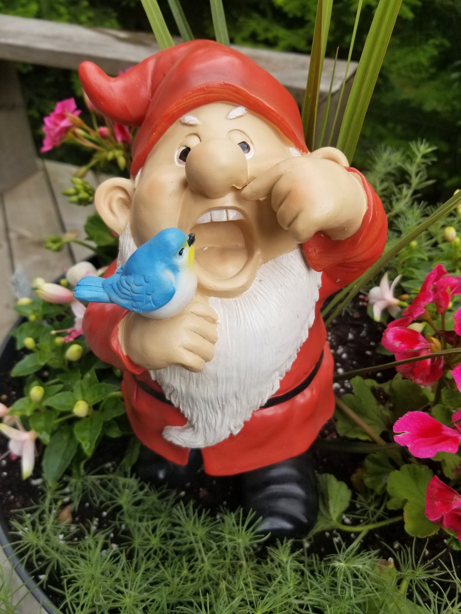 sneezing gnome statue for sale
