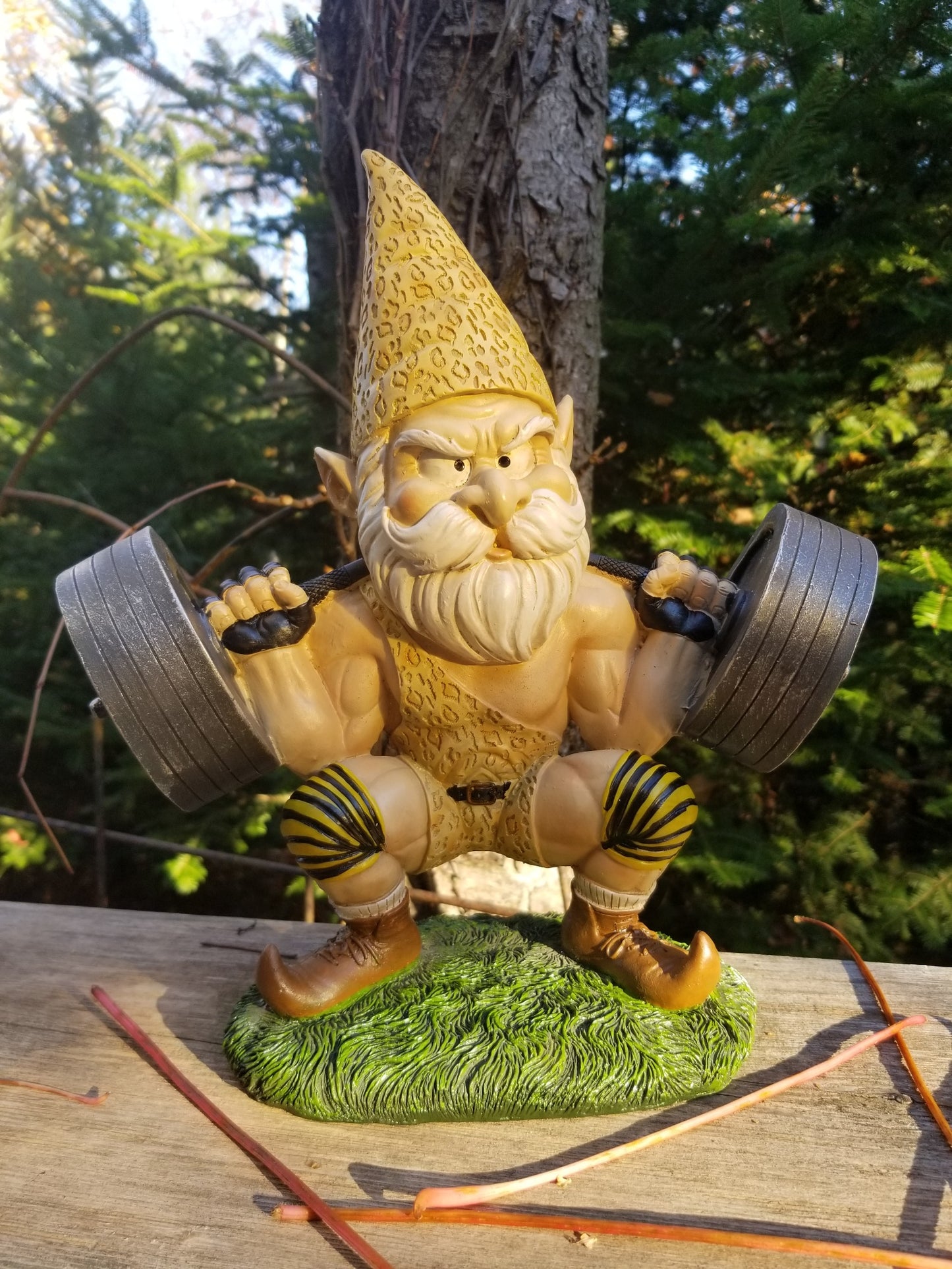 Gnome Statues (choose your favorite)