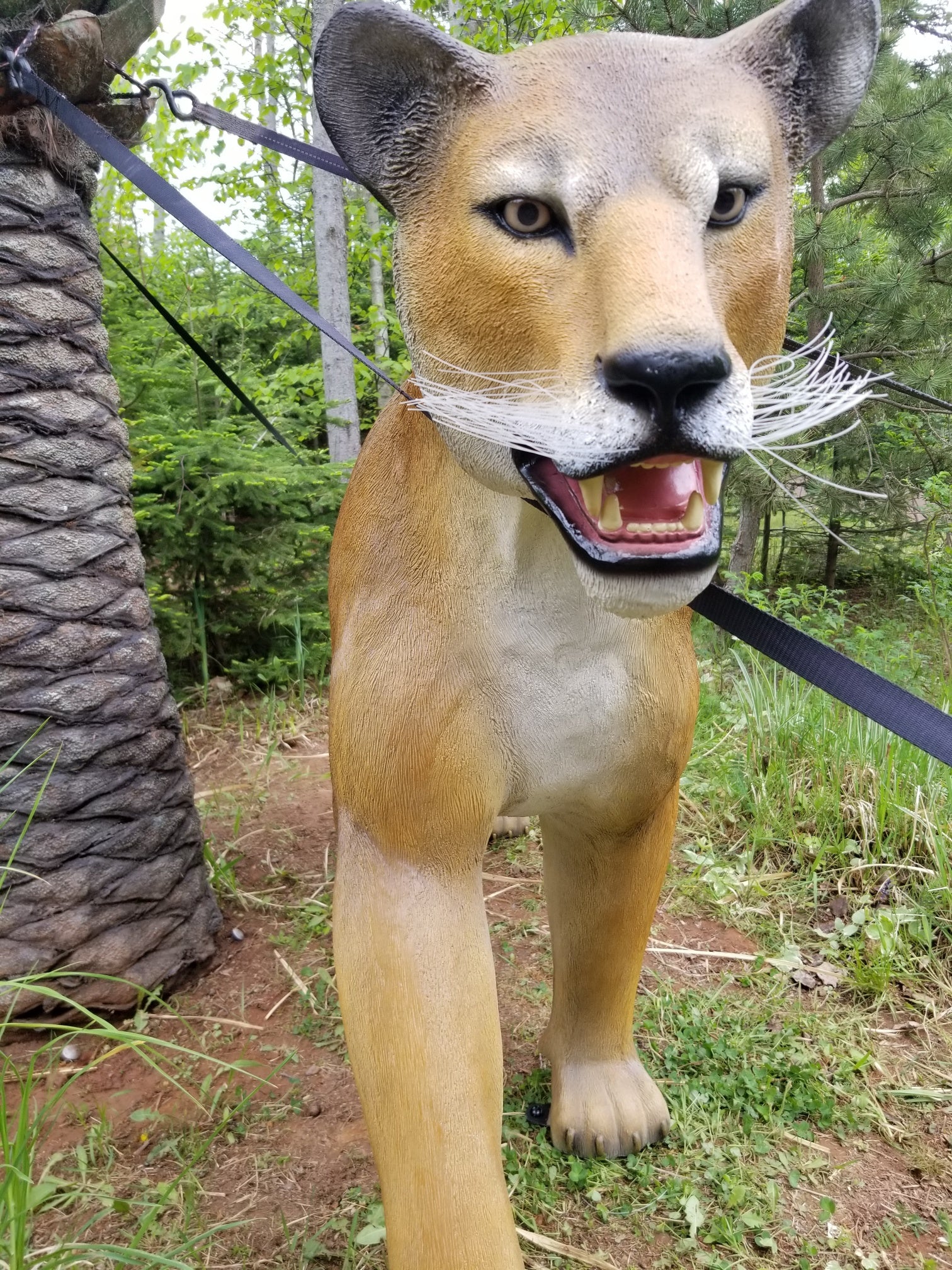 grand scale lioness statue for sale