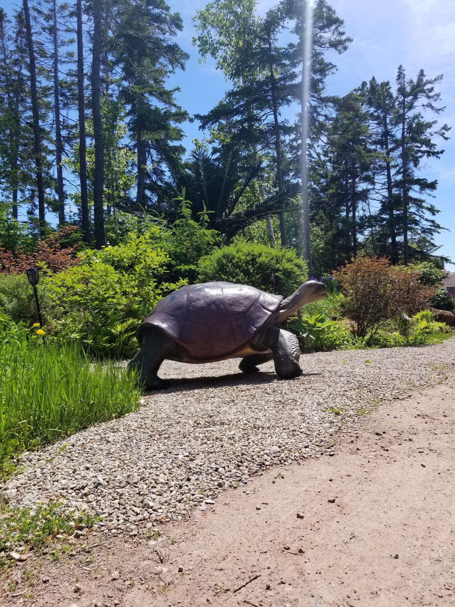 huge turtle statue for sale