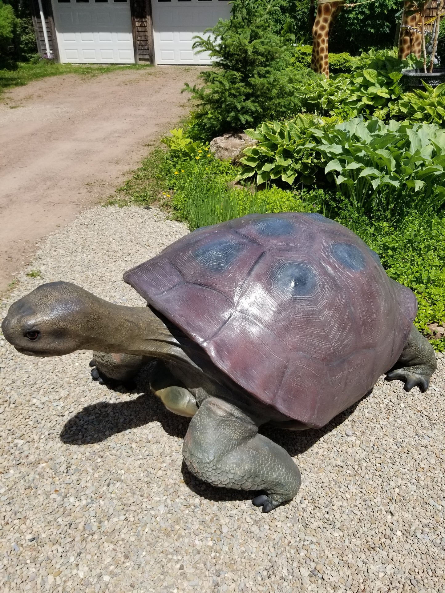 large turtle statue left pose