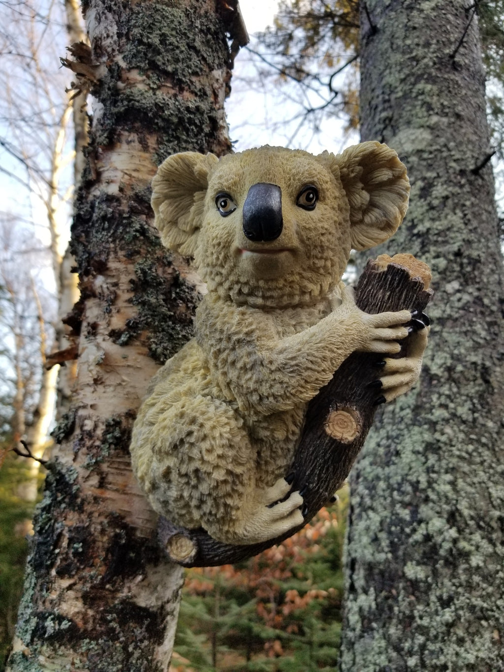 Koala on a branch statue for sale