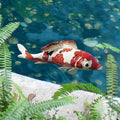 koi statue large for sale