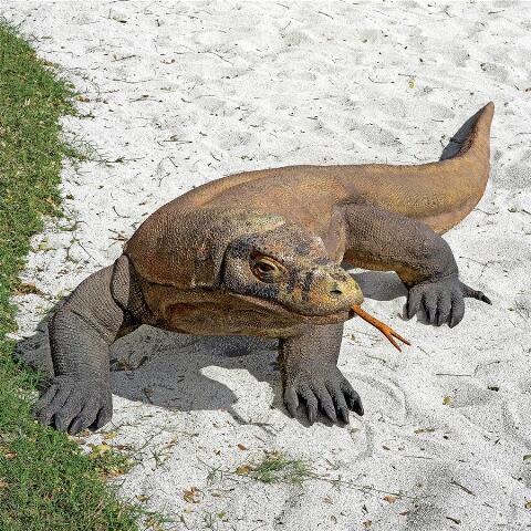 grande komodo dragon statue for sale