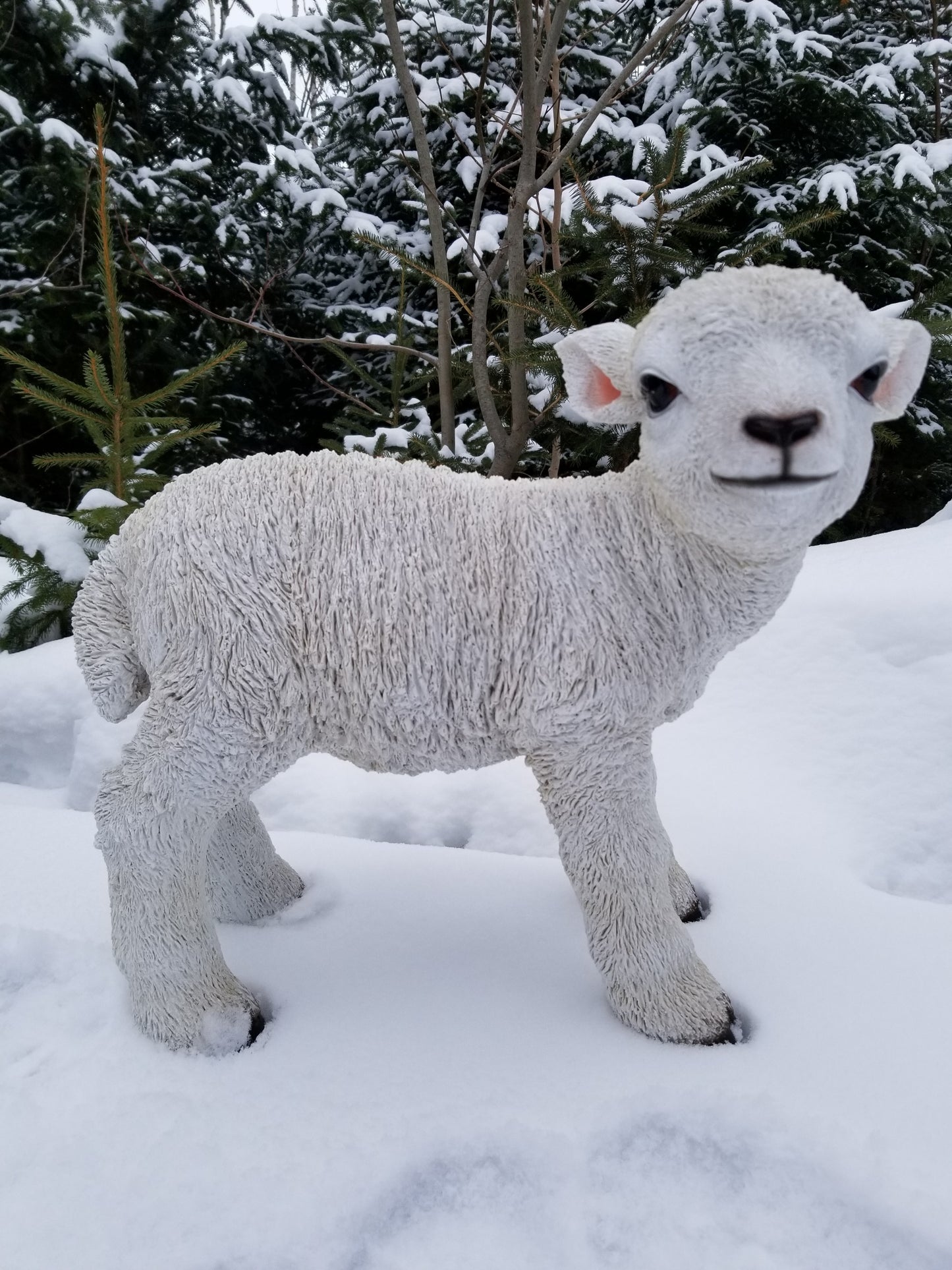 lamb statue cute white background